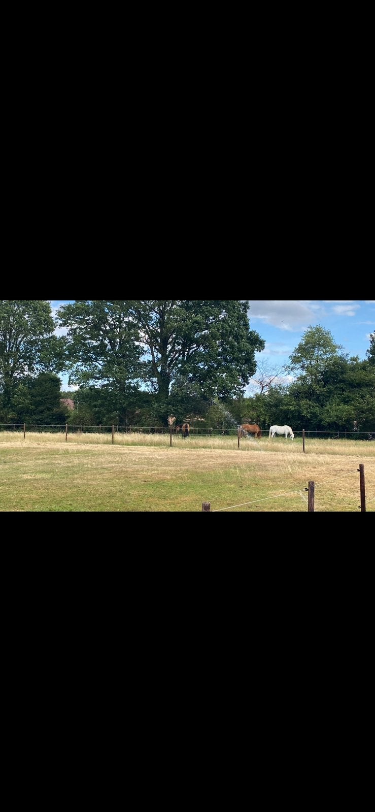 Weidegang met inloopstal, Weidegang