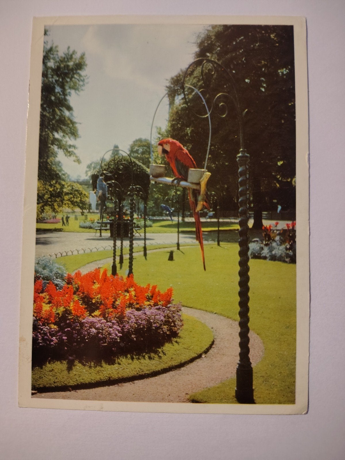 Antwerpen Groenvleugel ara, Verzamelen, Postkaarten | België, Ophalen of Verzenden