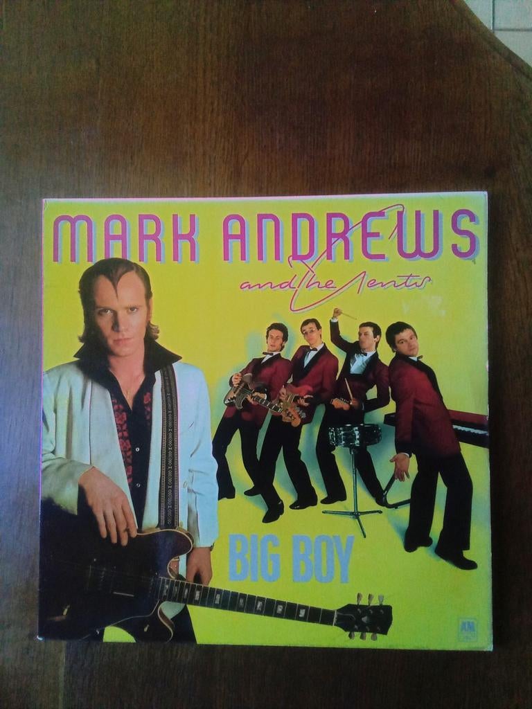 Lp Mark Andrews, Ophalen of Verzenden