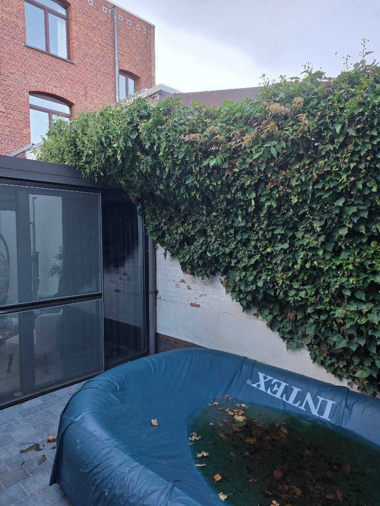 Gezocht tuinman dendermonde, Services & Professionnels, Construction de jardin ou d'étang