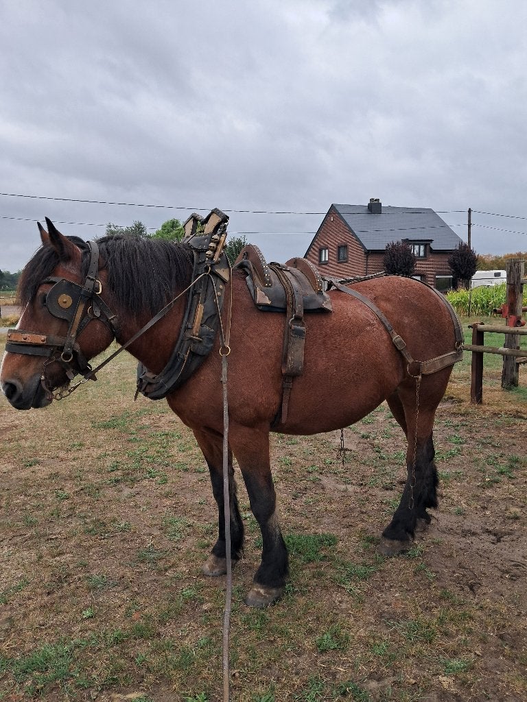 Paardengareel, Dieren en Toebehoren, Ophalen, Handgemaakt, Bruin, Recreatie