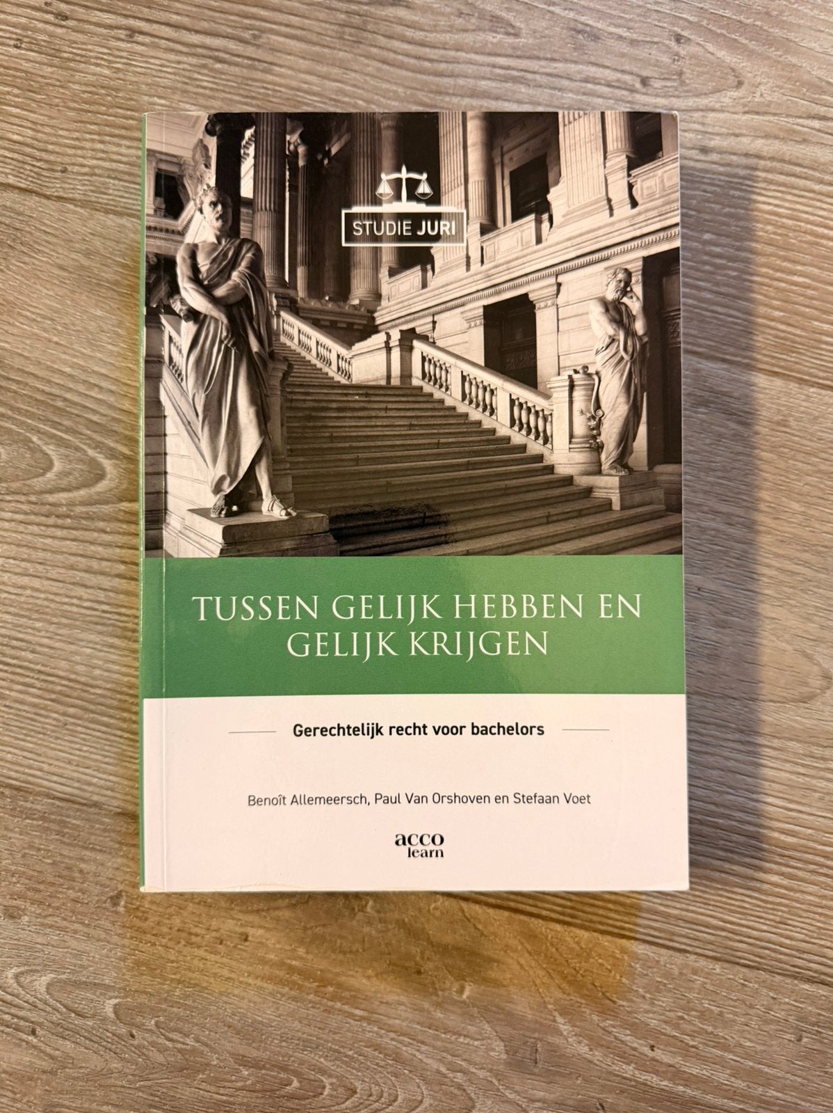 Gerechtelijk recht voor bachelors, Boeken, Ophalen of Verzenden, Zo goed als nieuw