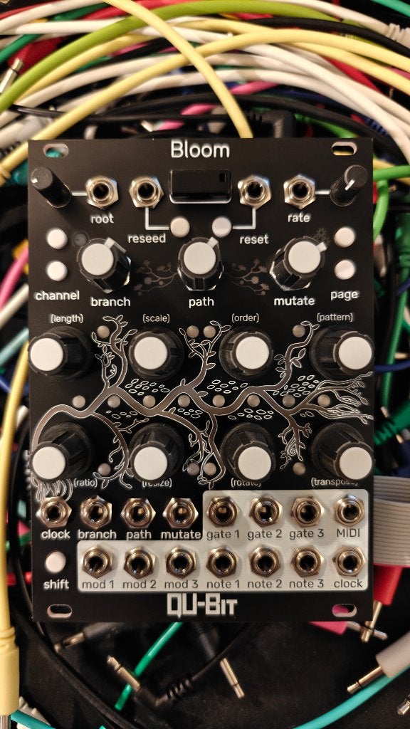 Eurorack modules (Qu-Bit, Make Noise, Erica Synths), Ophalen of Verzenden, Zo goed als nieuw, Overige merken