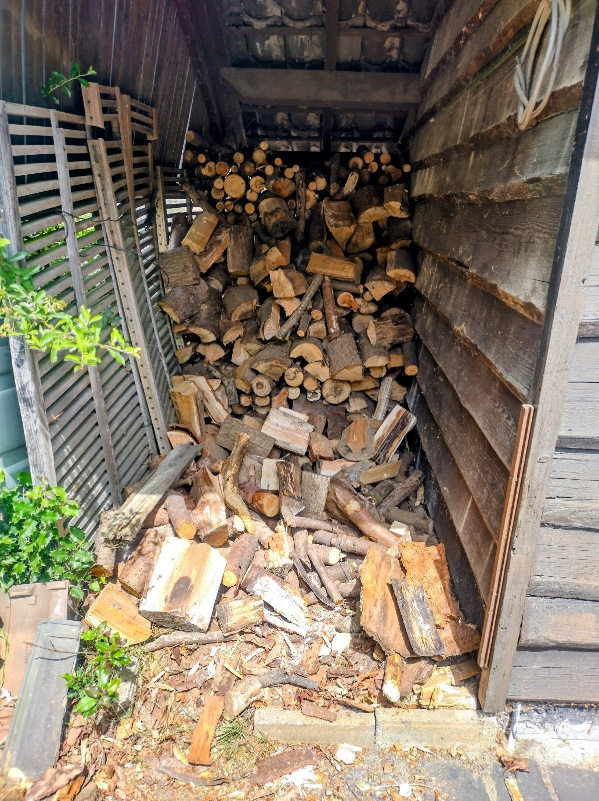 Gratis haardhout- stookhout, Ophalen