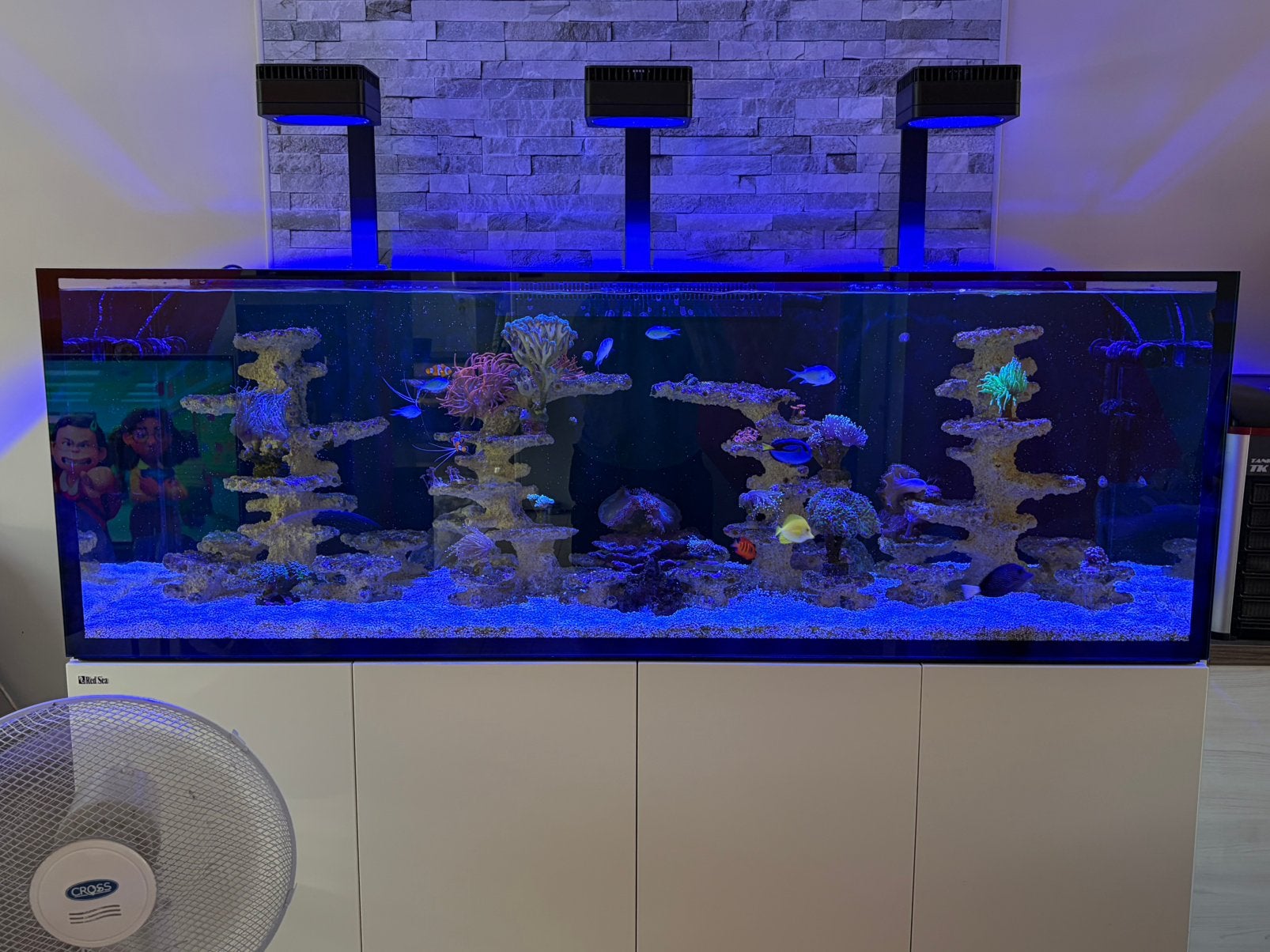 Aquarium récifales red sea 750 g3, Red Sea, Pompe, Aquarium d'eau de mer rempli, Comme neuf