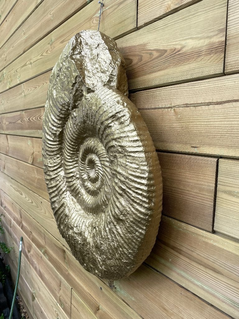 Schelp goud, woonkamer, slaapkamer, interieur 30cm, Tuin en Terras, Tuinbeelden, Ophalen, Nieuw, Kunststof, Dierenbeeld
