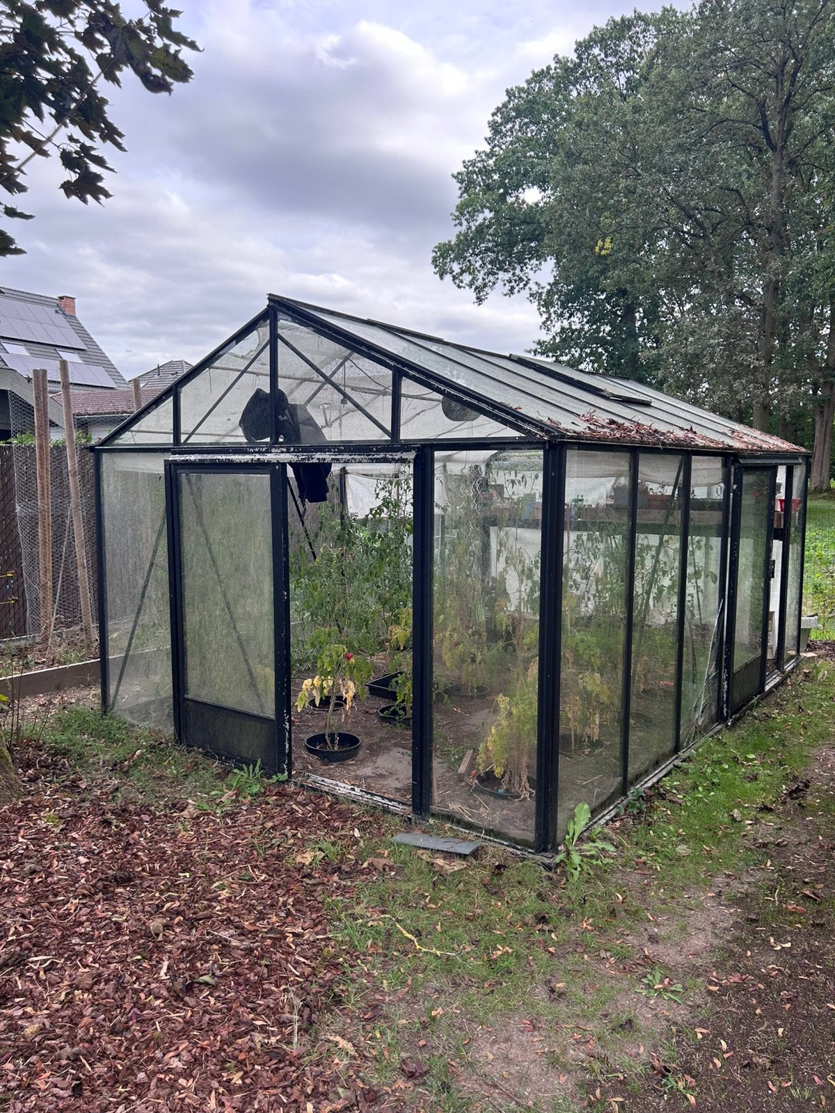 Serre, Tuin en Terras, Ophalen, Gebruikt, Kweekkas, Glas