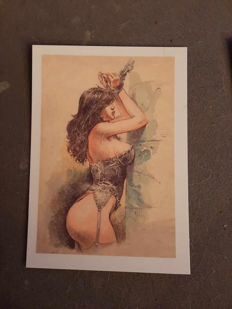 7x druuna prenten 25 euro incl verzenden, Ophalen of Verzenden, Nieuw