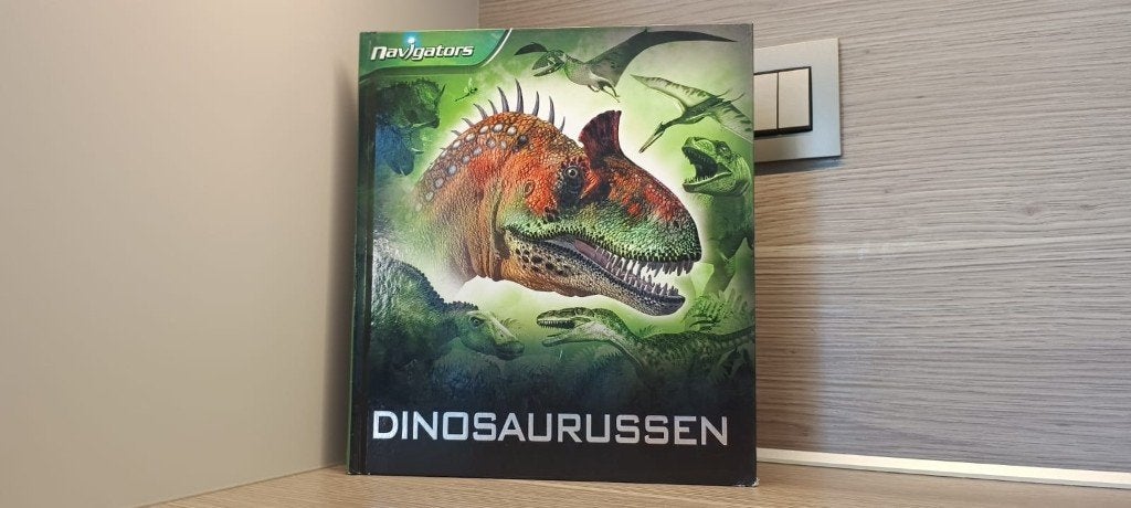 Boeken over dino's, ridders en kastelen, Kinderen en Baby's, Ophalen, Zo goed als nieuw, Taal en Lezen