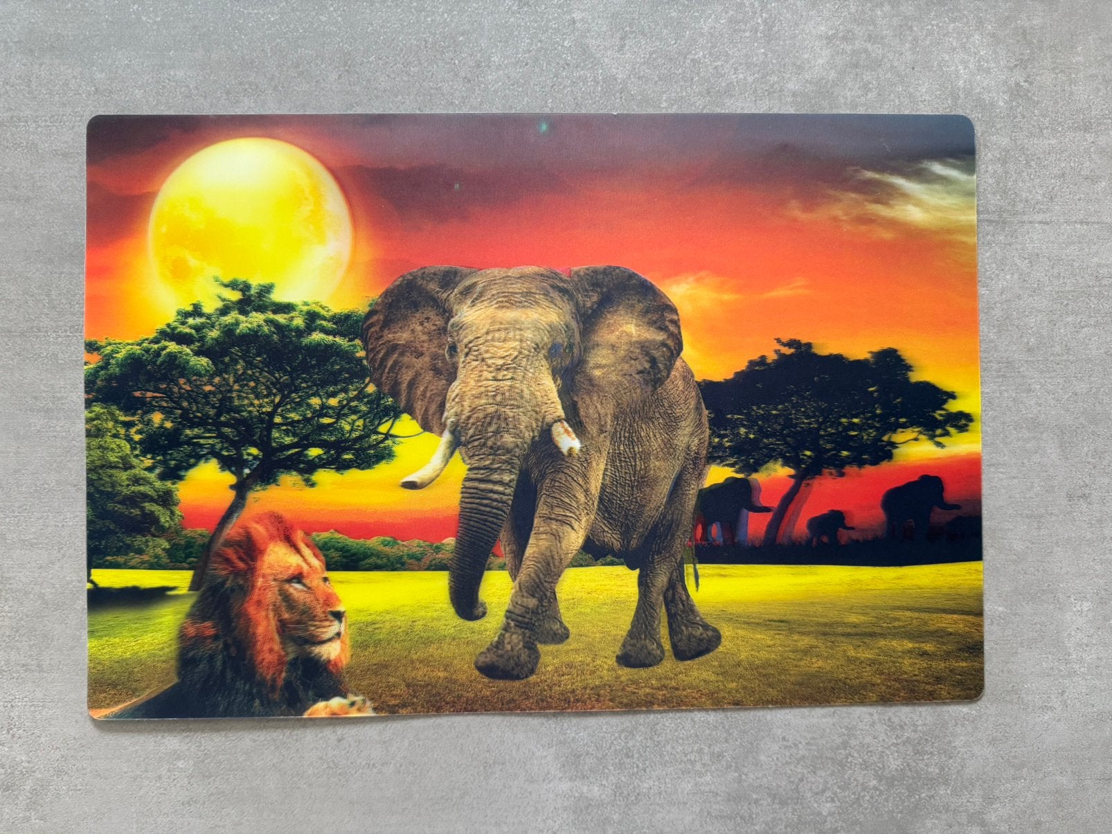 Placemat olifant holografisch, Ophalen, Placemat, Meerkleurig, Kunststof