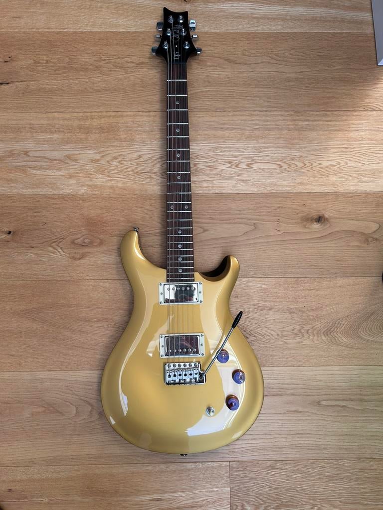 PRS SE x 2, Headrush pedalboard, Musique & Instruments, Instruments à corde | Guitares | Électriques, Comme neuf, Enlèvement