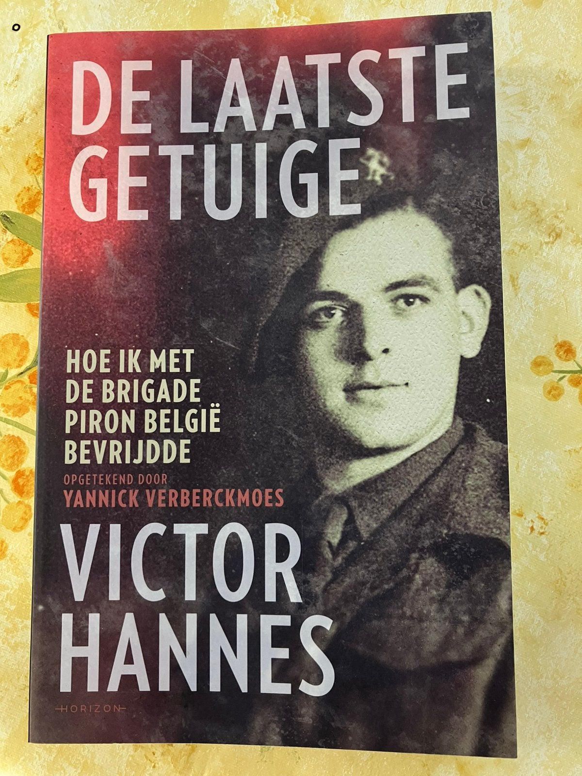 Boek de laatste getuige, Ophalen of Verzenden, Zo goed als nieuw