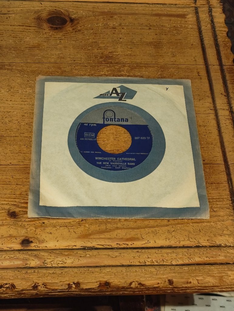 Single van Winchester Cathedral, Gebruikt, 7 inch, Ophalen of Verzenden, Pop