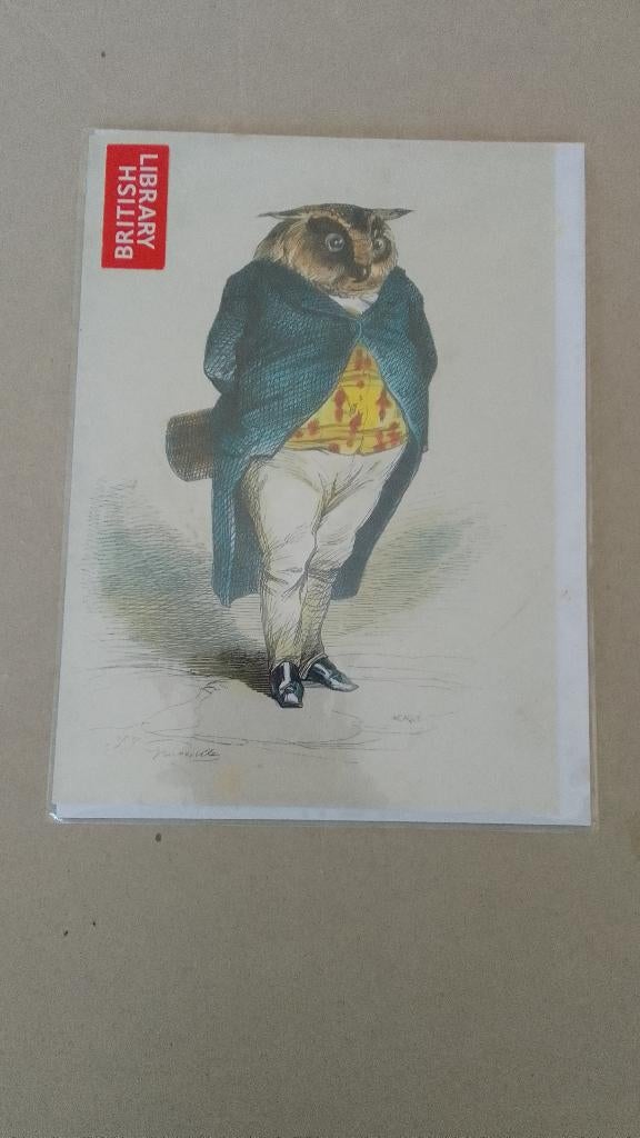 Carte postale,le hiboux philosophe, Collections, Enlèvement ou Envoi, 1980 à nos jours, Non affranchie, Autres thèmes