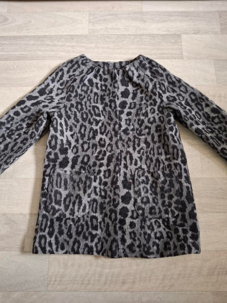 Mantel H&M maat 98/104, Kinderen en Baby's, Kinderkleding | Maat 98, Gebruikt, Meisje, H&M, Ophalen of Verzenden