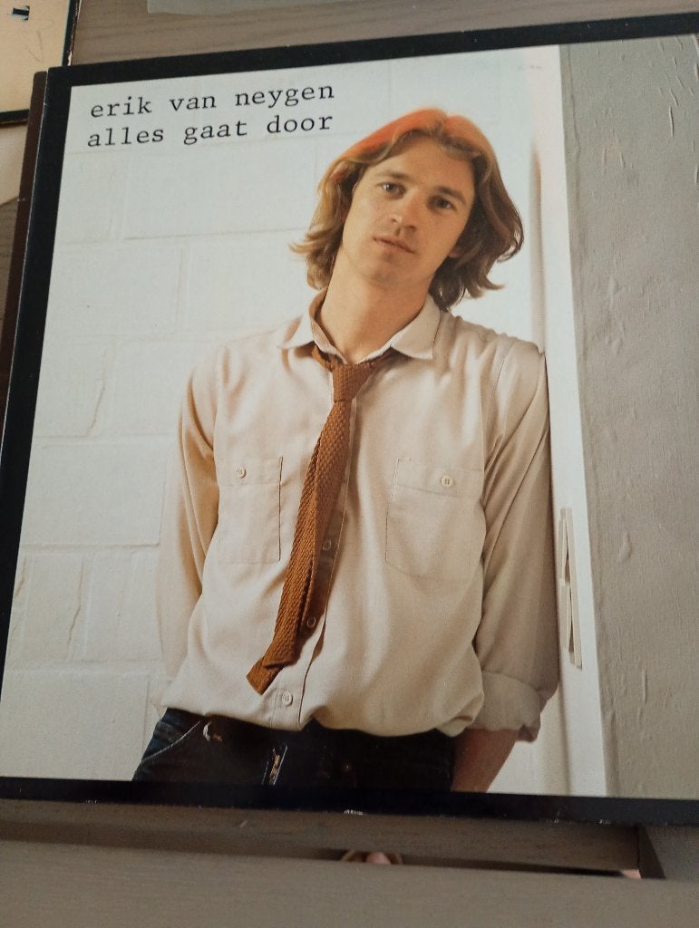 Erik Van Neygen - Alles gaat door, LP, Gebruikt, Pop, 12 inch