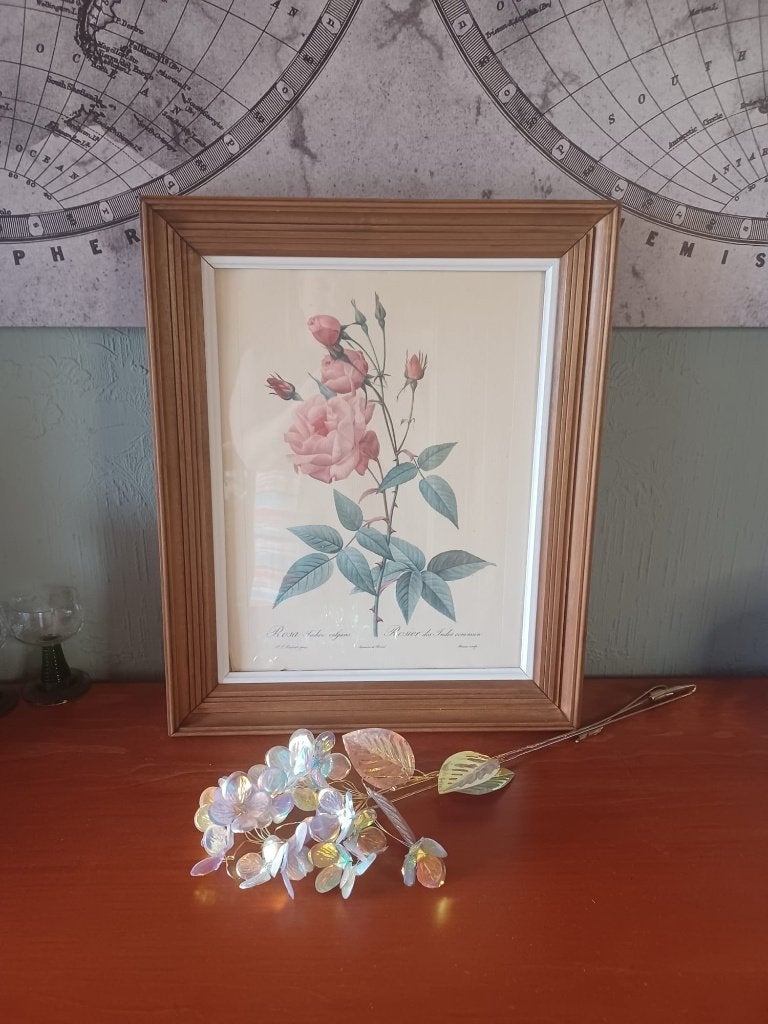 Ingelijste botanische prent rozen Redouté - 40x49 cm, Gebruikt, Meerkleurig, Hout, Ingelijst werk