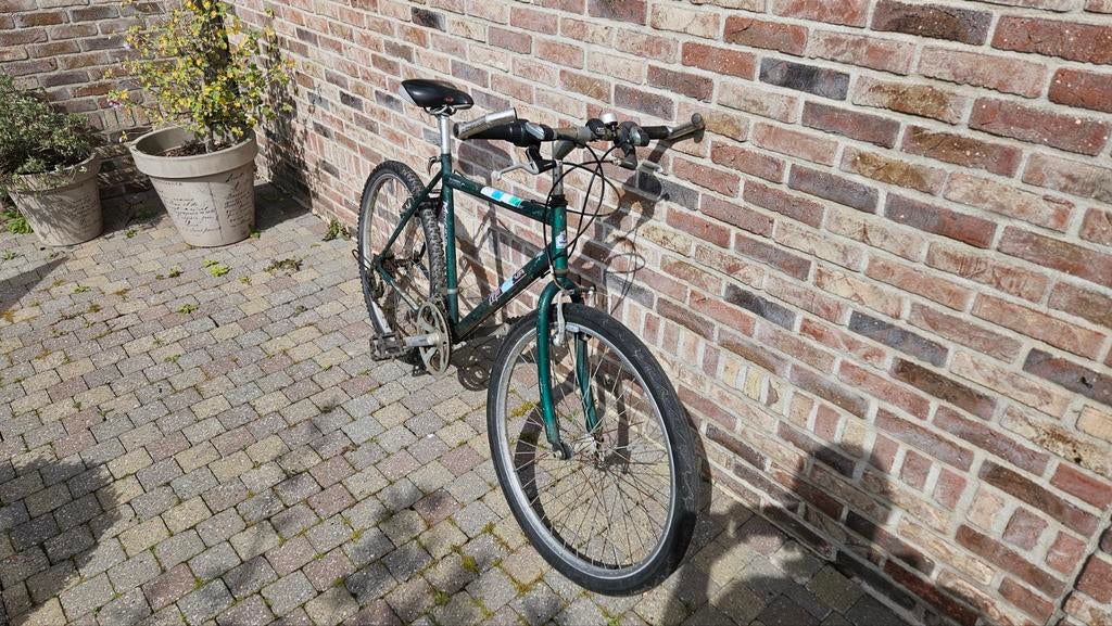 Degelijke Minerva Mountainbike / Herenfiets (21 versnelling, Ophalen, Versnellingen