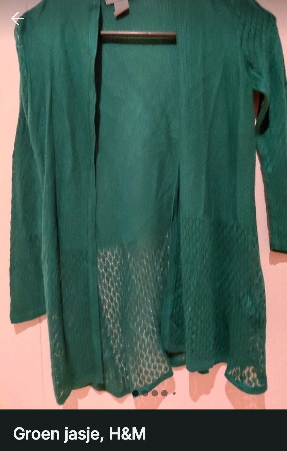 Groen jasje zonder knopen ,H&M,
Perfecte staat, xs
Heb nog e, Ophalen of Verzenden, Groen, Jasje