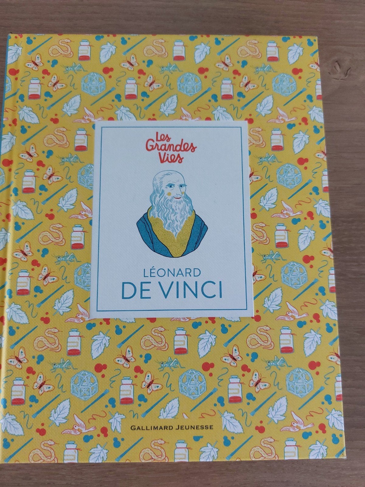 Les grandes vies de leonard de vinci.neuf., Livres, Enlèvement