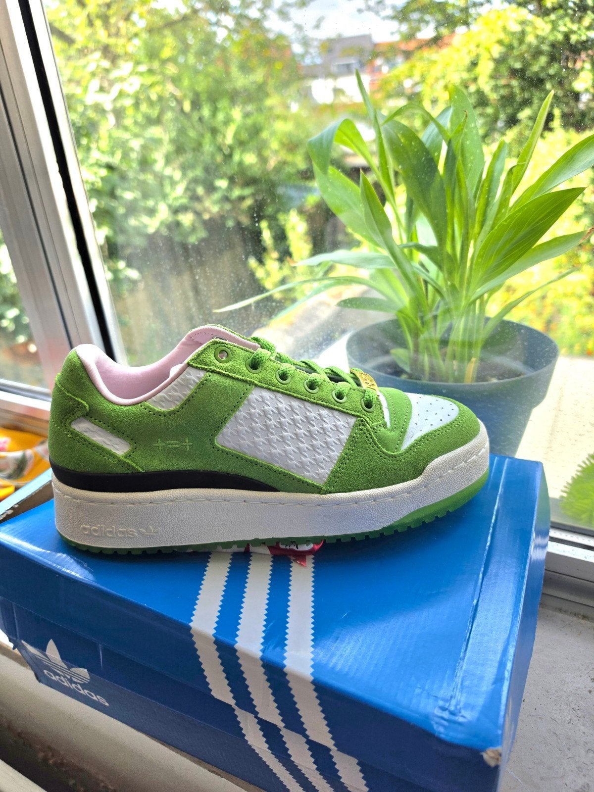 Nieuw Adidas Schoenen, Vêtements | Hommes, Chaussures, Autres couleurs, Neuf, Chaussures de marche, Enlèvement
