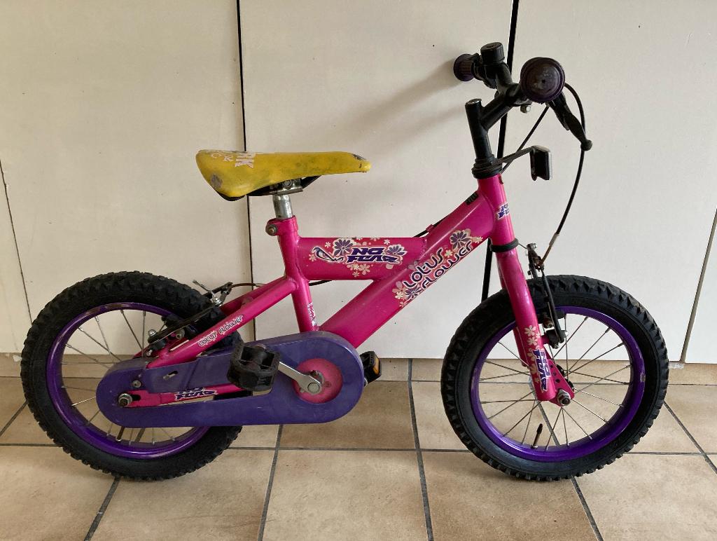 Fietsje, Ophalen, Gebruikt, Velgrem, Minder dan 16 inch