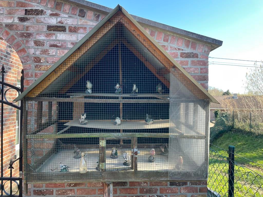 Grote vogelkooi, Dieren en Toebehoren, Vogels | Hokken en Kooien, Ophalen, Vogelkooi