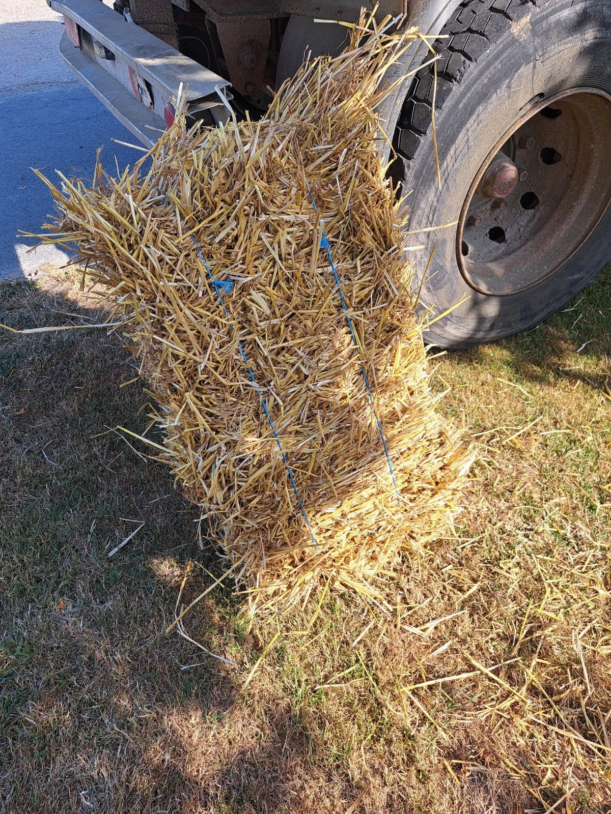 Kleine stro ballen, Dieren en Toebehoren, Ophalen