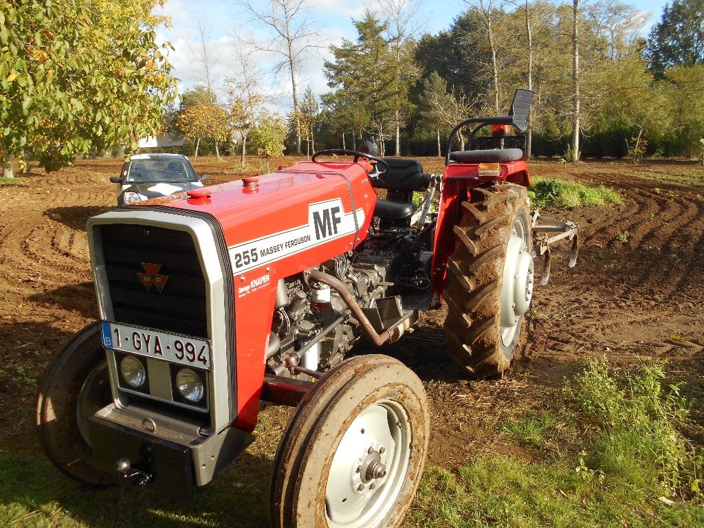 tractor  MF 255, Zakelijke goederen, Ophalen