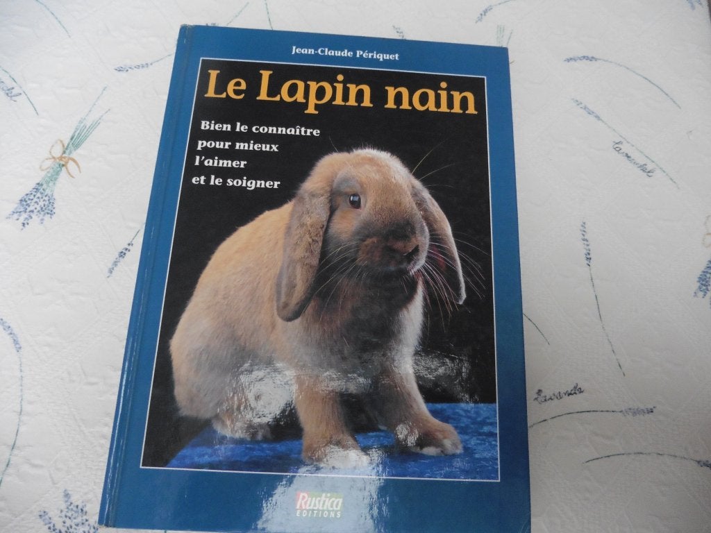 "Le lapin nain" - Bien le connaître pour mieux l'aimer, Enlèvement ou Envoi, Comme neuf, Jean-Claude PERIQUET