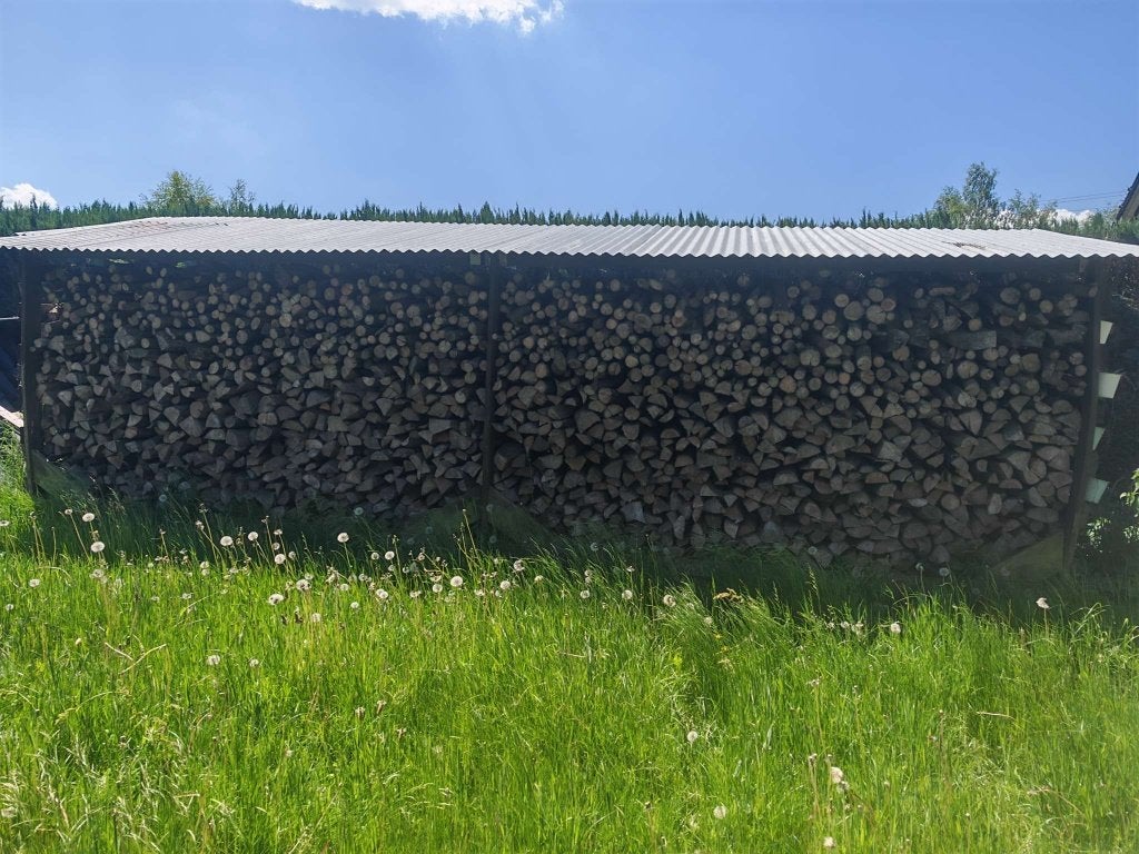 Bois de chauffage très sec, 6 m³ ou plus, Enlèvement, Hêtre, Bûches
