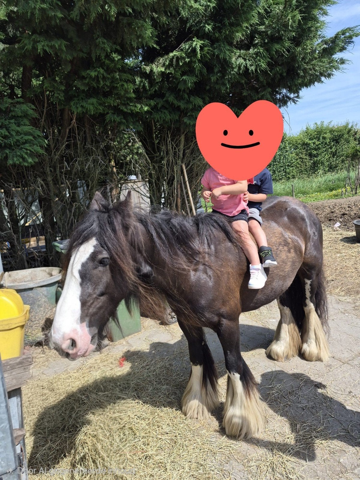 Super brave familie tinker merrie, Merrie, M
