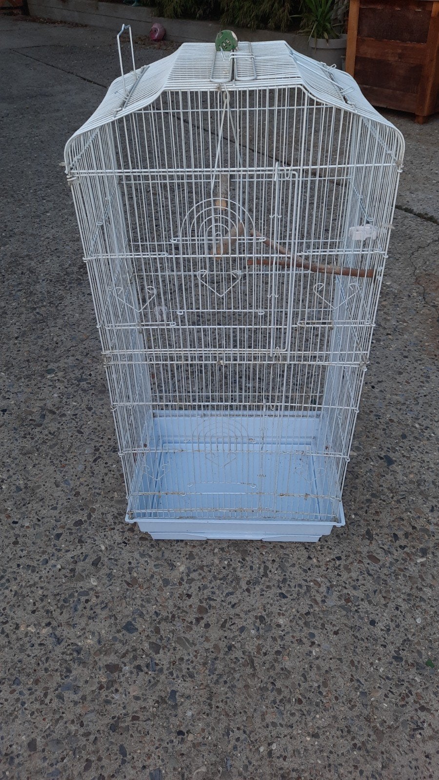 cage pour oiseaux, Animaux & Accessoires, Enlèvement, Utilisé, Métal, Cage à oiseaux