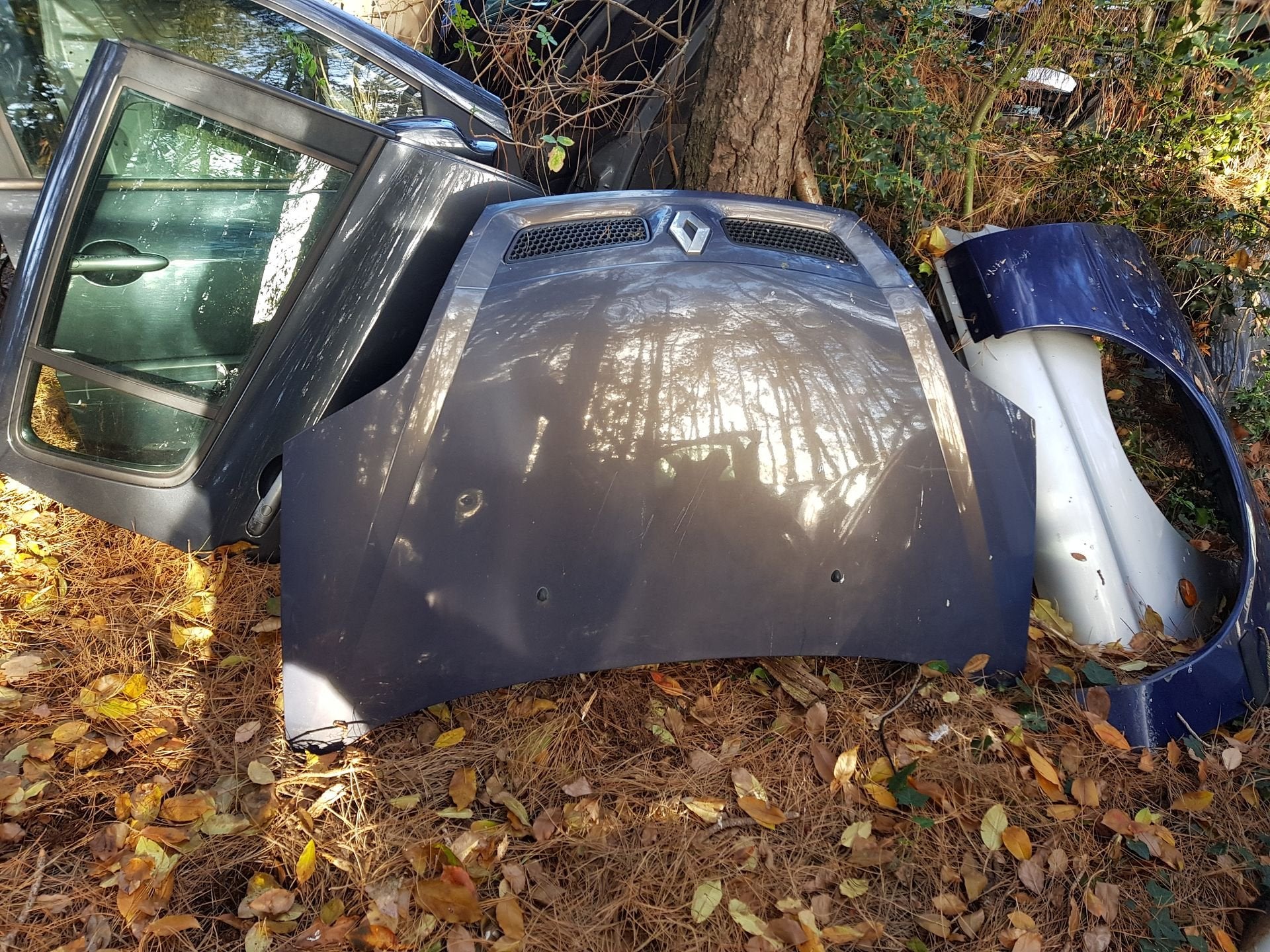 RENAULT SCENIC MOTORKAP BJ 2001 TOT 2003, -, Utilisé, -, Capot moteur