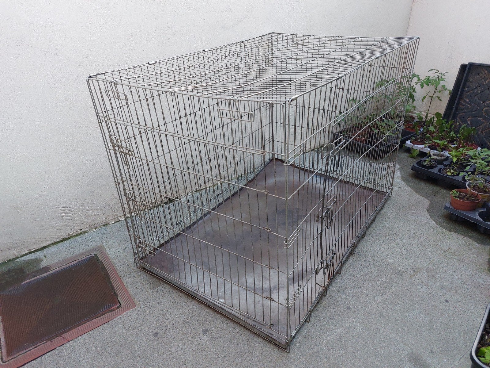 grand cage pour Grand chien, Animaux & Accessoires, Enlèvement
