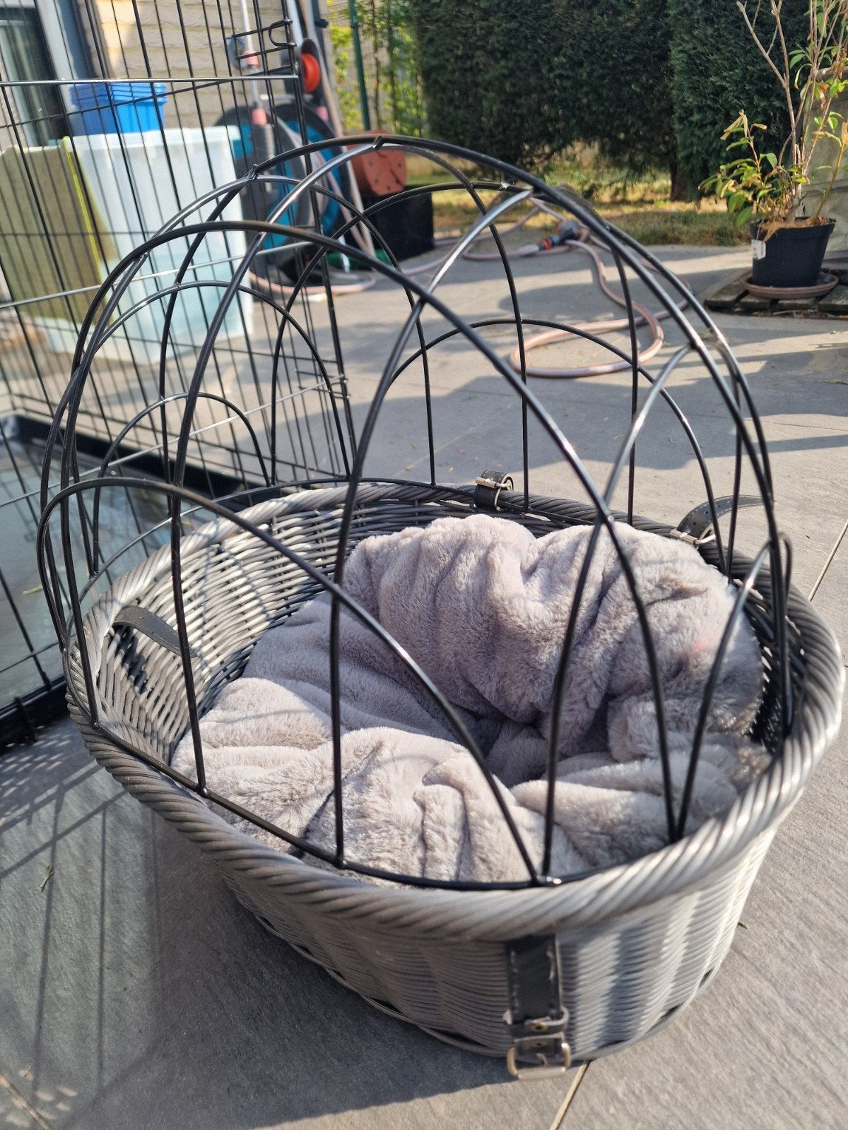 Panier de vélo avec coussin moelleux - NOUVEAU - à fixer au, Enlèvement