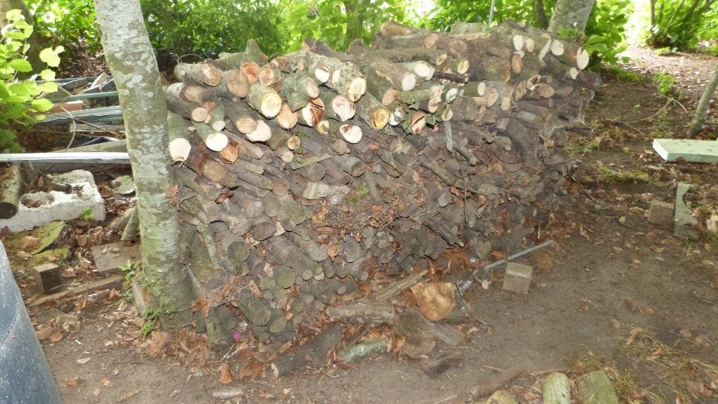 bois de chauffage, Jardin & Terrasse, 3 à 6 m³, Enlèvement, Hêtre, Bûches