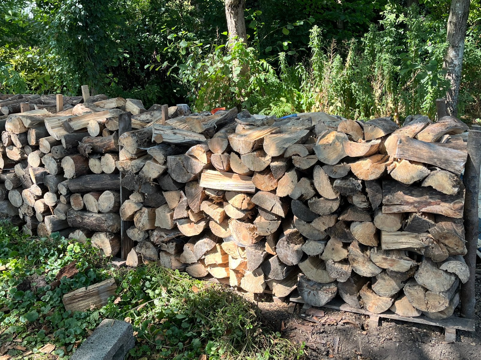 Droge Den (Mast), 6 m³ ou plus, Enlèvement, Autres essences de bois, Bûches