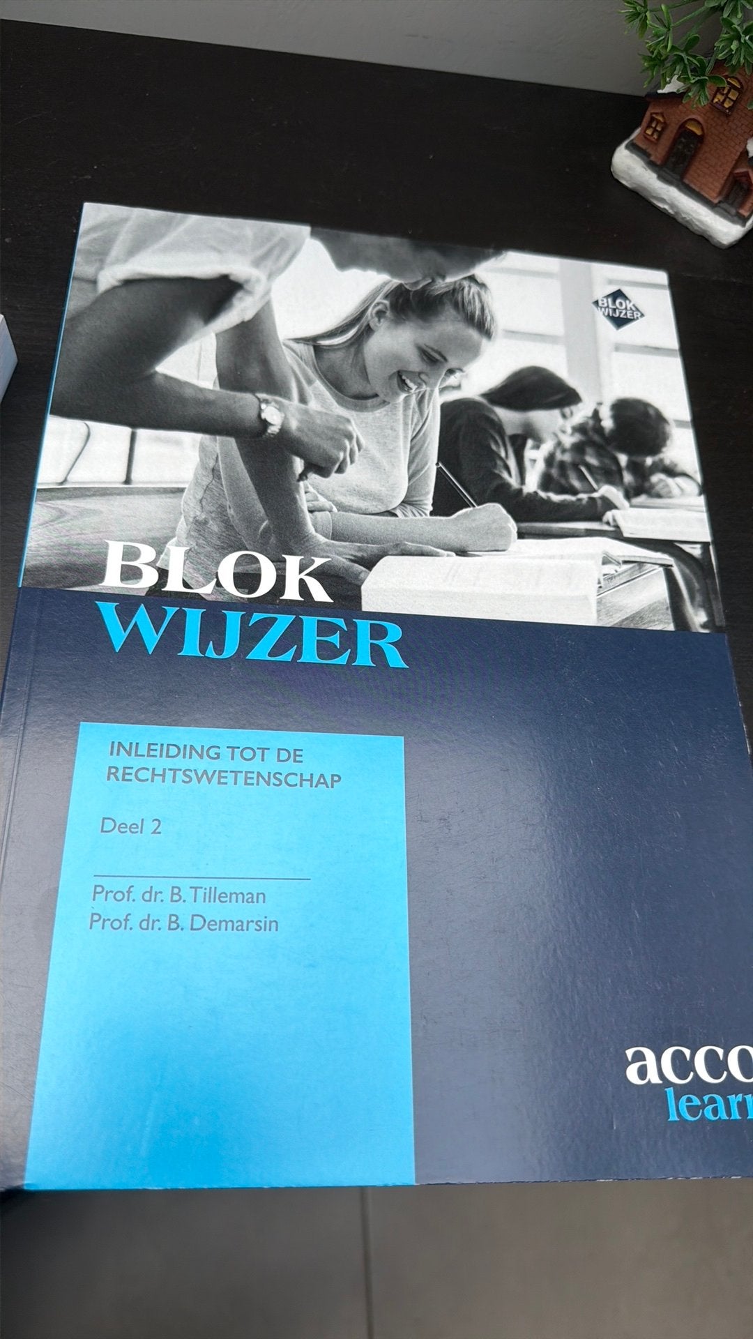 Blokwijzer: Inleiding tot de rechtswetenschap, Ophalen of Verzenden, Bernard Tilleman; Bert Demarsin