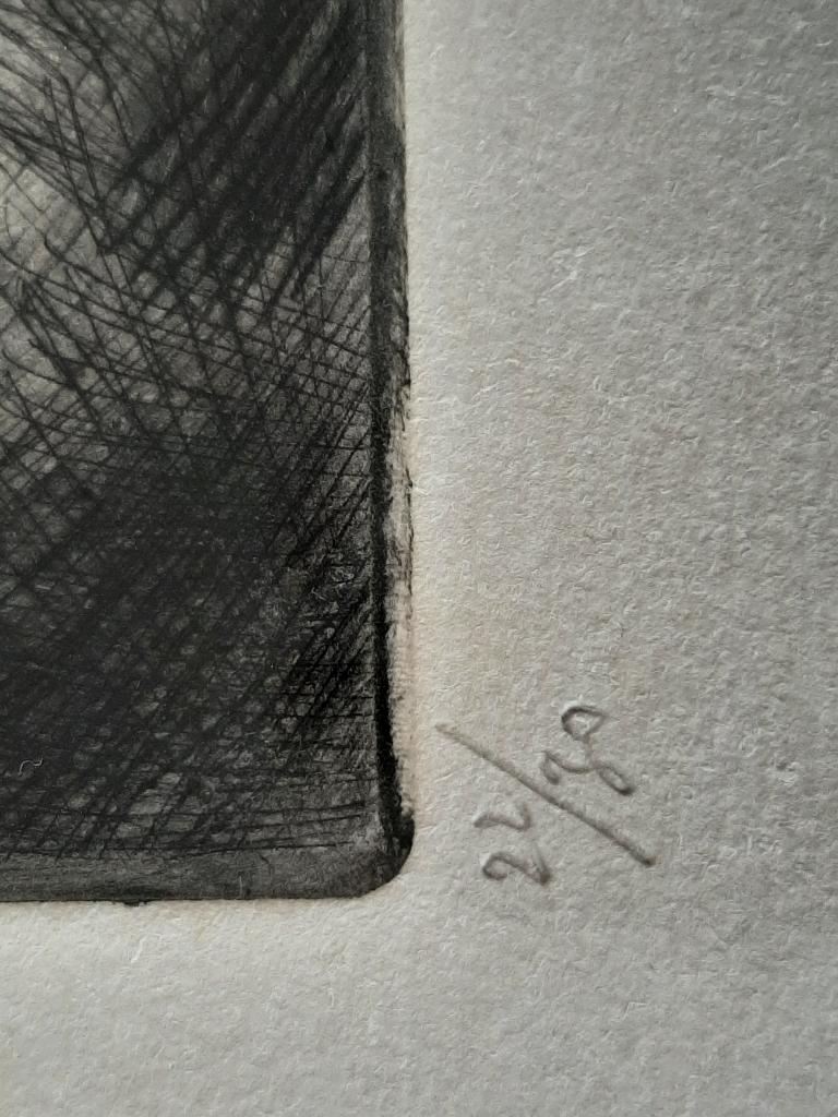 Roger Devolder - ets - getekend en genummerd, Antiek en Kunst, Ophalen of Verzenden, Ets, Genummerd