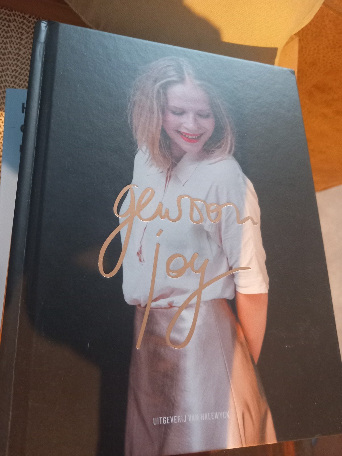 Joy Anna Thielemans - Gewoon Joy, Boeken, Overige Boeken, Ophalen of Verzenden, Joy Anna Thielemans