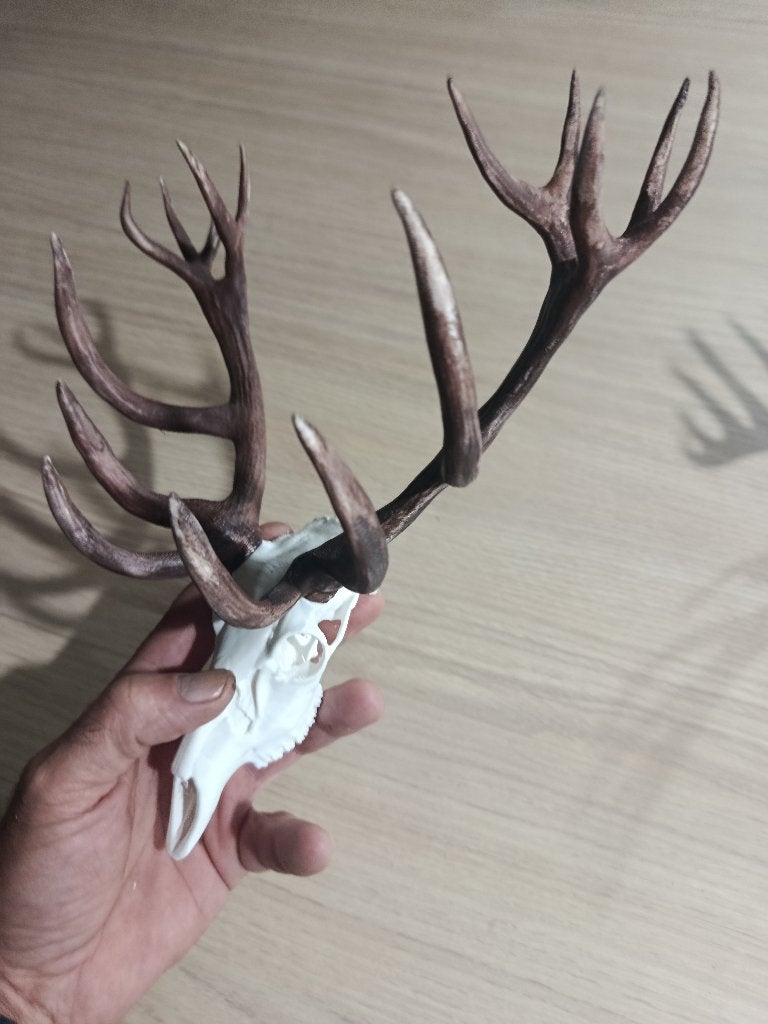 Réplique de trophées de chasse, 30 cm, Plastique, 20 cm, Objet de décoration