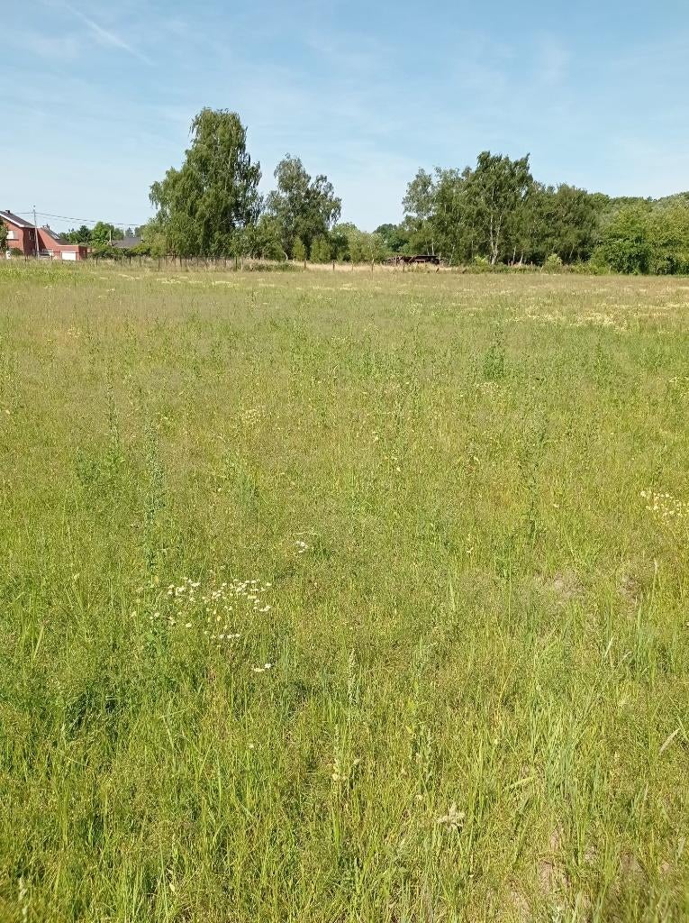 Weide te koop in Boortmeerbeek, Immo
