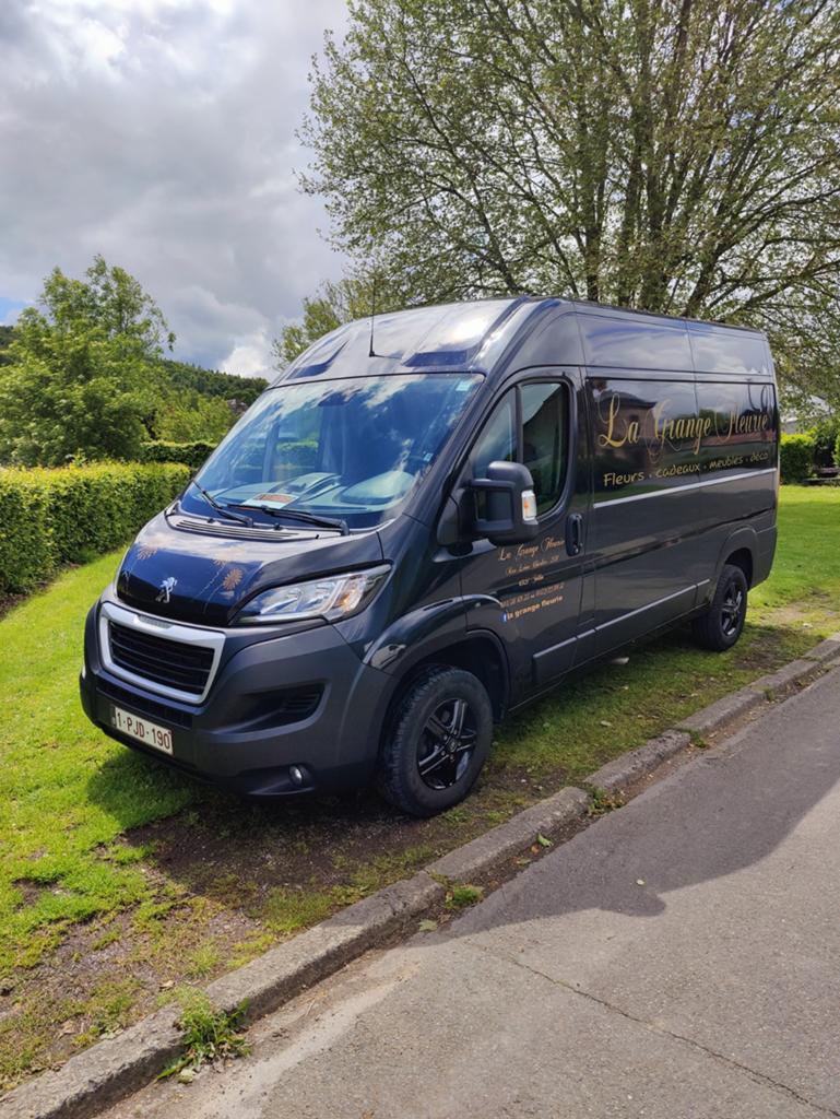 Peugeot Boxer 2,2l 165cv, Autos, Camionnettes & Utilitaires, Particulier, Caméra de recul, Caméra, Radio, Peugeot, Boîte manuelle