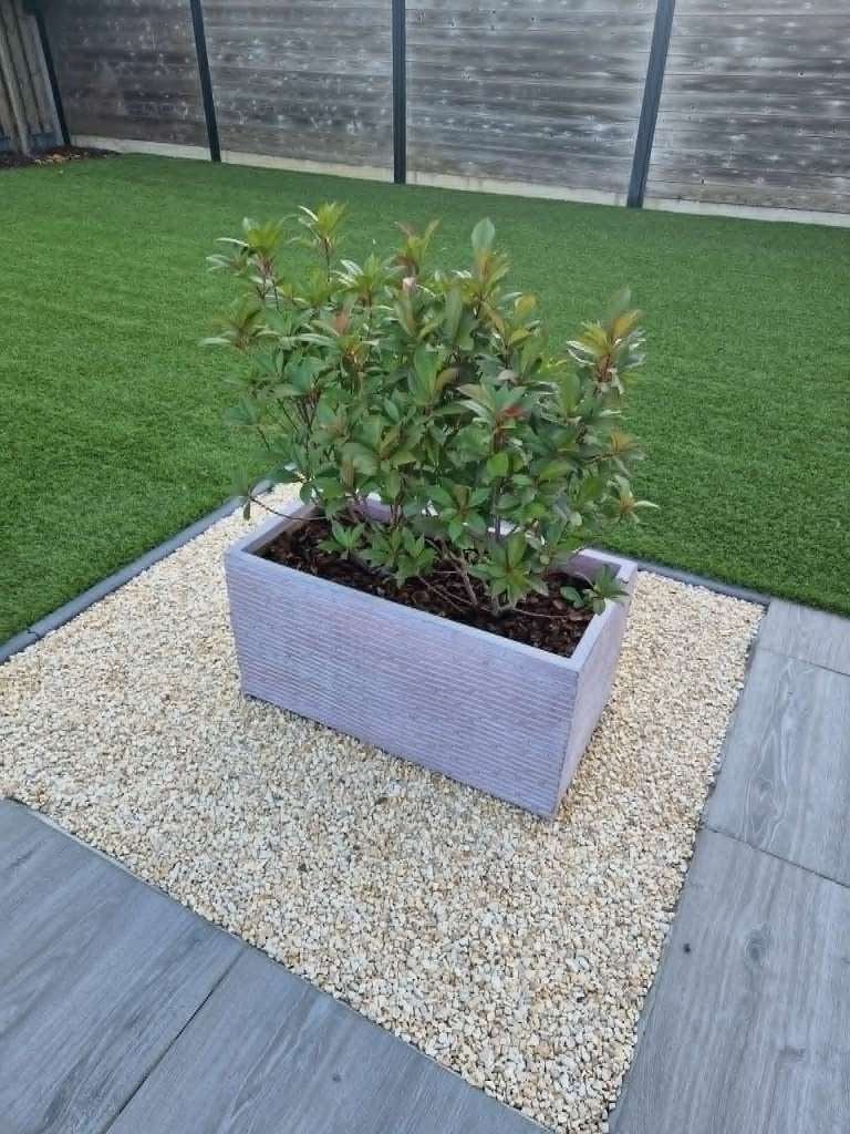betonnen plantenbak oud roze /grijs met plant ( 2 jaar oud ), Tuin en Terras, Ophalen, Gebruikt, 60 tot 100 cm, Beton