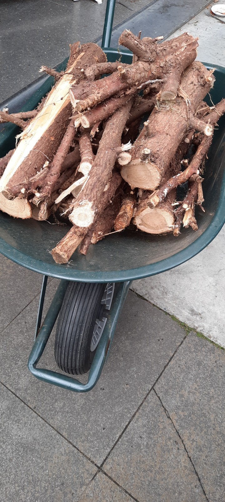 gratis brandhout van levensboom (haagsoort), Ophalen