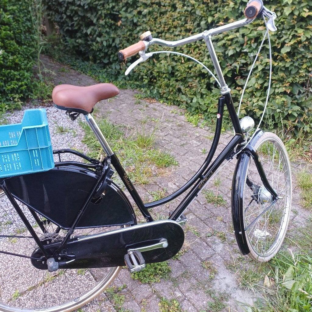 Dame fiets -Batavus, Fietsen en Brommers, Ophalen