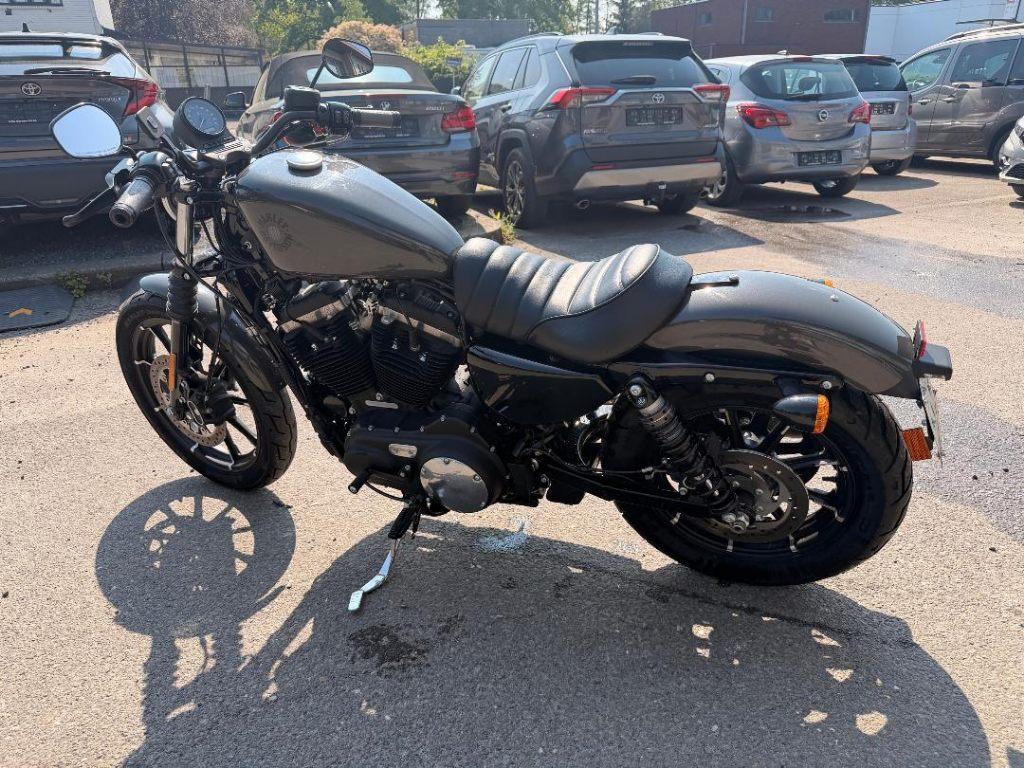 Harley Davidson Iron 883 gekeurd voor verkoop, Motoren, Motoren | Harley-Davidson, 2 cilinders, 883 cc, Meer dan 35 kW, ABS