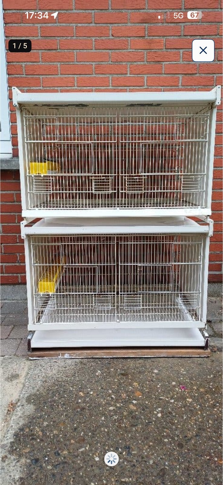 Vogels kooien, Ophalen of Verzenden, Zo goed als nieuw