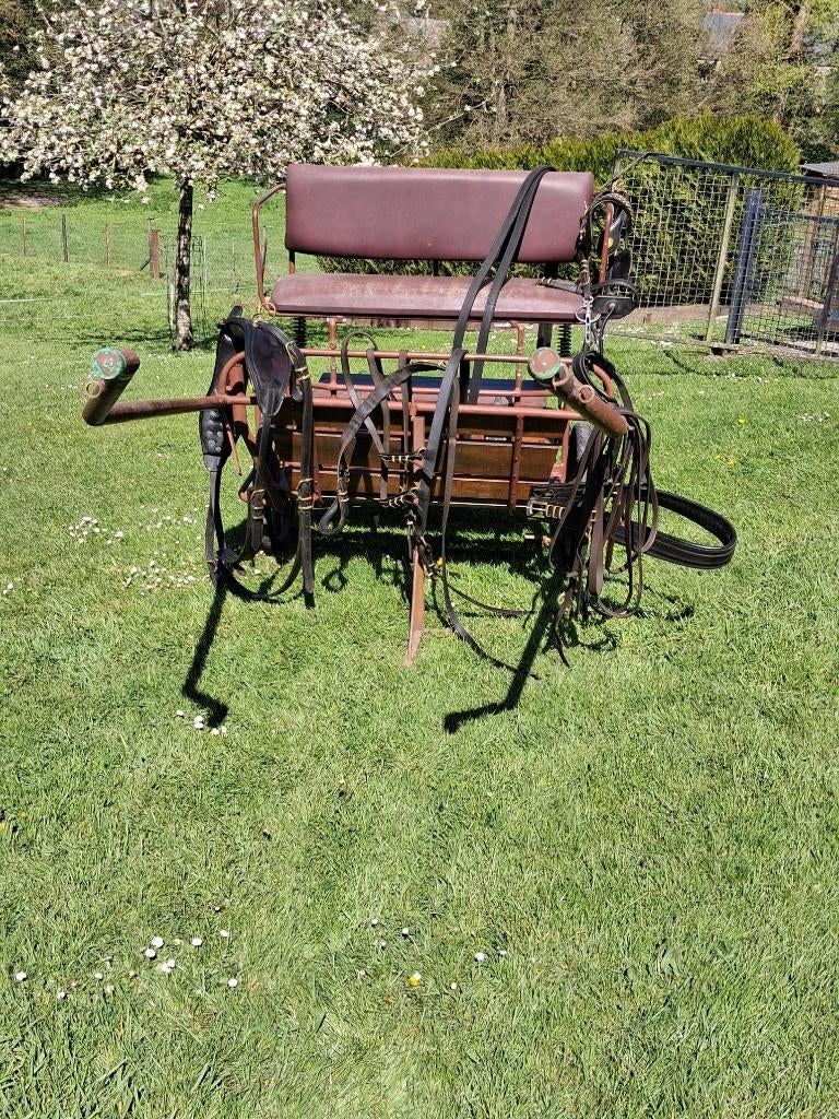 calèche et harnais d'attelage, Utilisé, Sulky, Cheval ou Poney